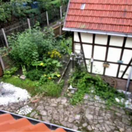Sandhasennest *